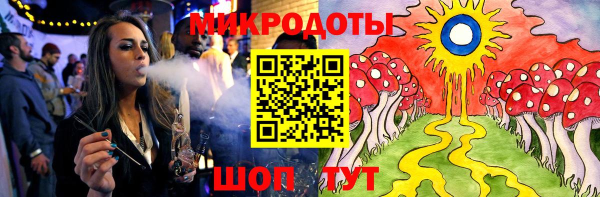 Псилоцибиновые грибы Psilocybe Можайск